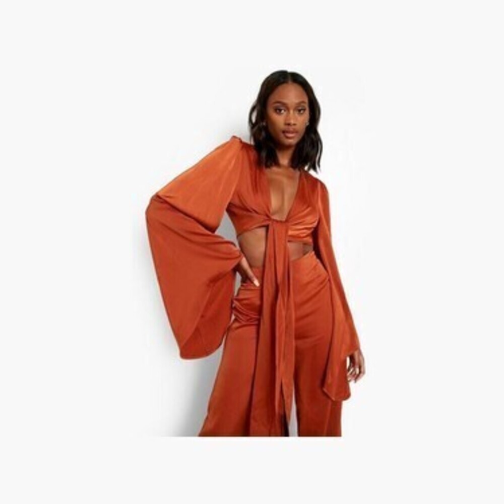 Occasion Volume Sleeve Tie Detail Blouse